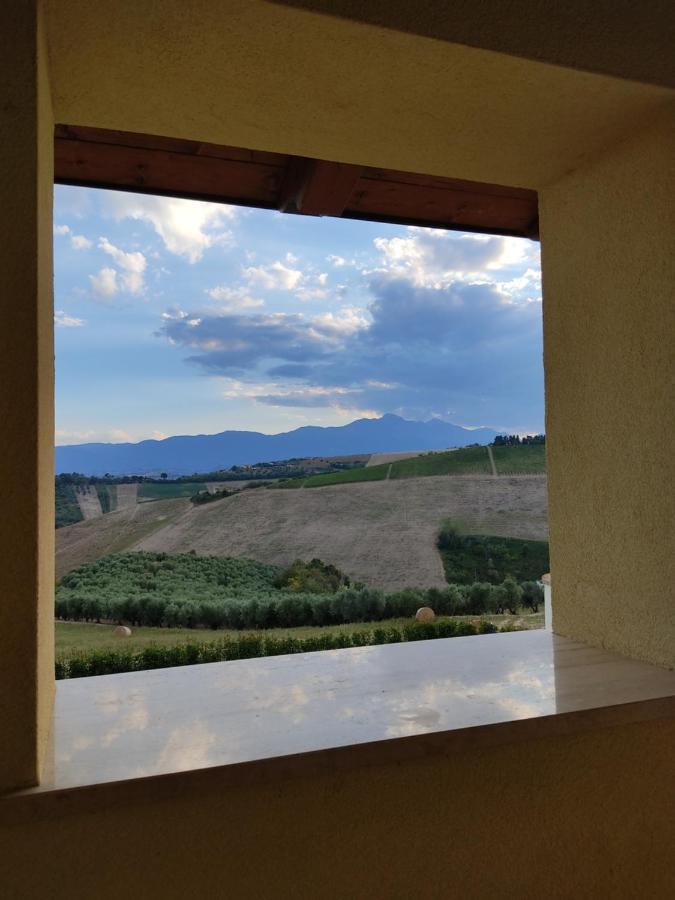 Agriturismo Terra dei Falchi Castilenti Esterno foto