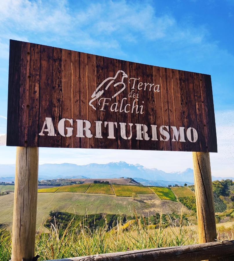 Agriturismo Terra dei Falchi Castilenti Esterno foto