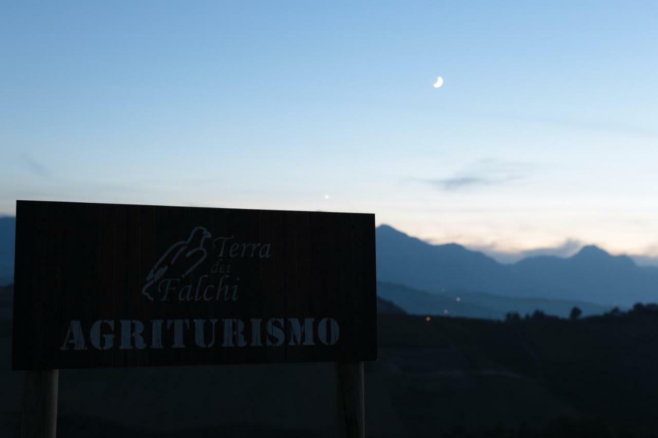 Agriturismo Terra dei Falchi Castilenti Esterno foto